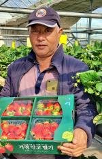 가평자연딸기 박태영대표, 딸기육묘 생산 성공